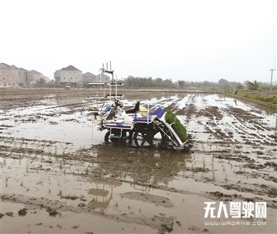 全省首台无人驾驶 水稻插秧机下田作业