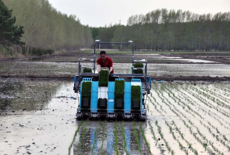 鸭绿河智能无人驾驶插秧机助力精准农业！