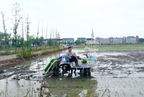 北斗导航无人驾驶 镇江首台智能无人驾驶插秧机下田干活了