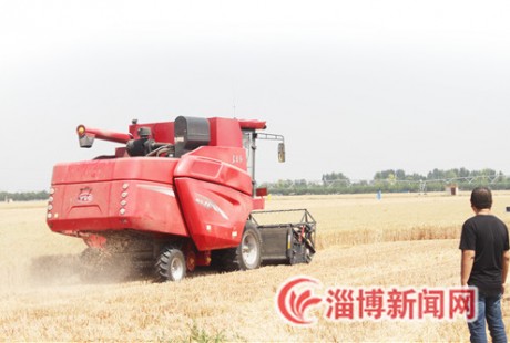 淄博首次启用无人驾驶农机参与夏收夏播，141.23万亩小麦收获过半！