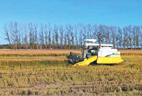 垦区全力推进试验力度 无人驾驶作业完成水稻收割翻地