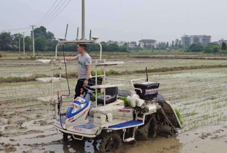 安庆市首台无人驾驶插秧机在桐城投用