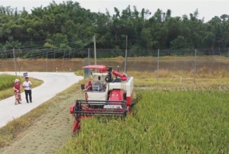 广东省首台无人驾驶水稻收获机正式下田，收割一亩水稻，仅九分钟。